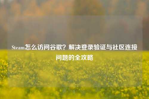 Steam怎么访问谷歌？解决登录验证与社区连接问题的全攻略