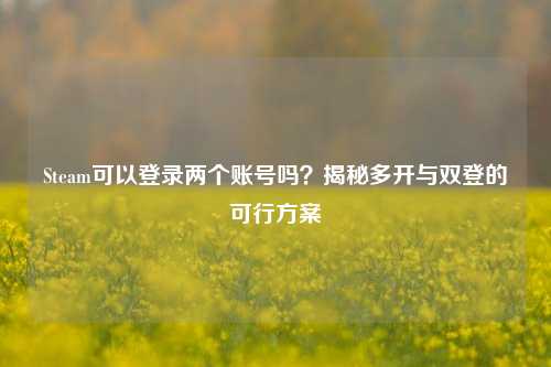 Steam可以登录两个账号吗？揭秘多开与双登的可行方案