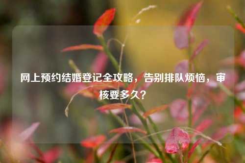 网上预约结婚登记全攻略,告别排队烦恼,审核要多久?
