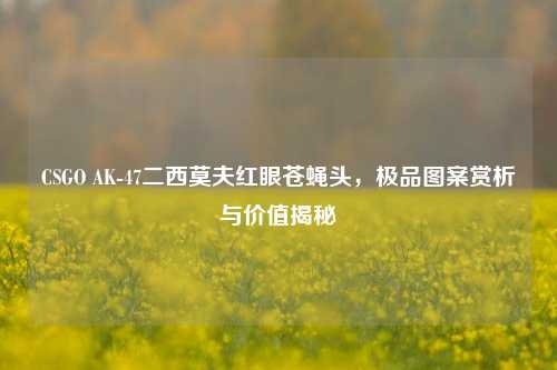 CSGO AK-47二西莫夫红眼苍蝇头,极品图案赏析与价值揭秘