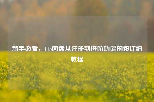 新手必看，115网盘从注册到进阶功能的超详细教程