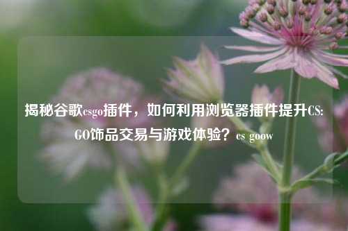 揭秘谷歌csgo插件,如何利用浏览器插件提升CS:GO饰品交易与游戏体验?cs goow