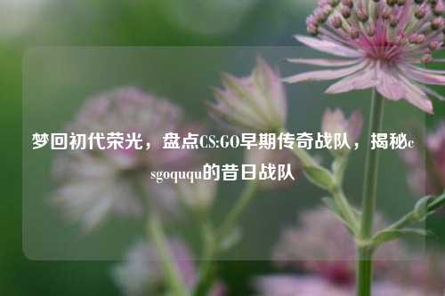 梦回初代荣光,盘点CS:GO早期传奇战队,揭秘csgoququ的昔日战队