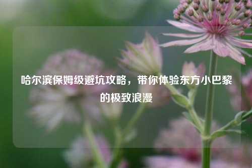 哈尔滨保姆级避坑攻略,带你体验东方小巴黎的极致浪漫