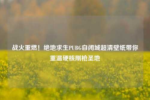战火重燃!绝地求生PUBG自闭城超清壁纸带你重温硬核刚枪圣地