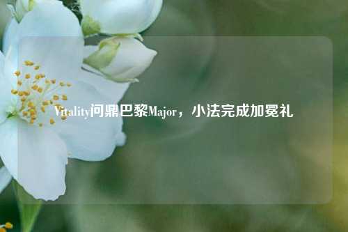 Vitality问鼎巴黎Major,小法完成加冕礼