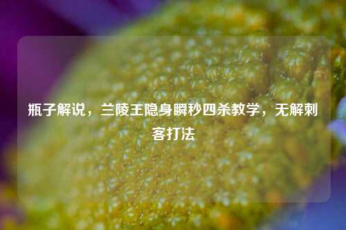 瓶子解说,兰陵王隐身瞬秒四杀教学,无解刺客打法