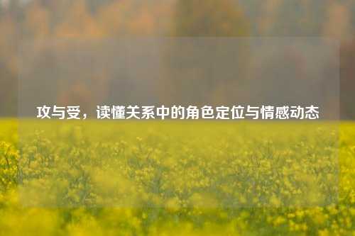 攻与受,读懂关系中的角色定位与情感动态