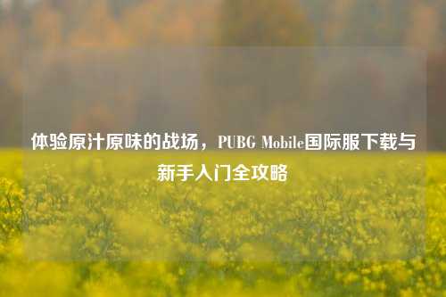 体验原汁原味的战场,PUBG Mobile国际服下载与新手入门全攻略
