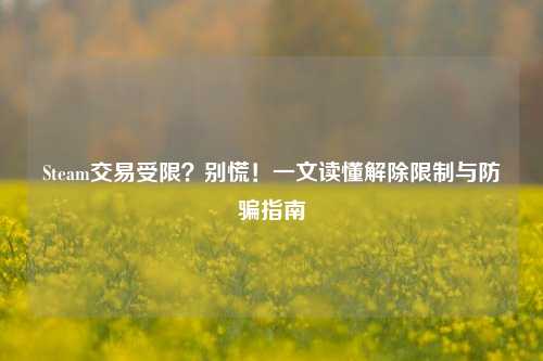Steam交易受限?别慌!一文读懂解除限制与防骗指南