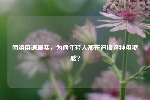 *** 用语真实,为何年轻人都在追捧这种粗粝感?