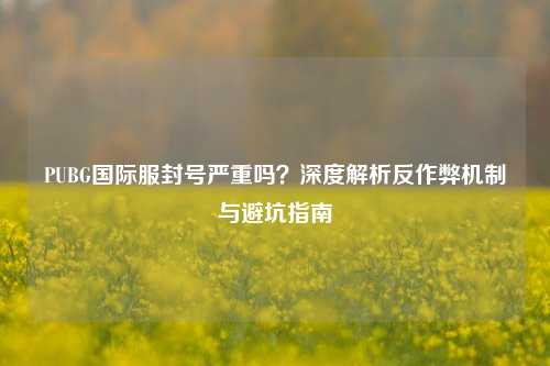 PUBG国际服封号严重吗?深度解析反作弊机制与避坑指南