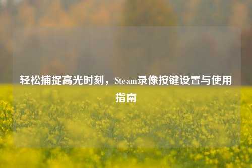 轻松捕捉高光时刻,Steam录像按键设置与使用指南