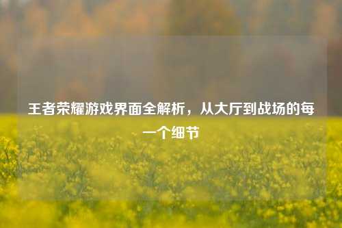 王者荣耀游戏界面全解析,从大厅到战场的每一个细节