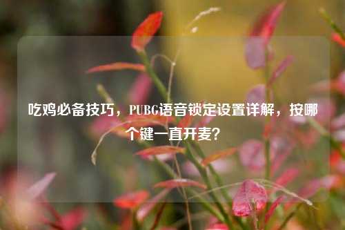 吃鸡必备技巧,PUBG语音锁定设置详解,按哪个键一直开麦?