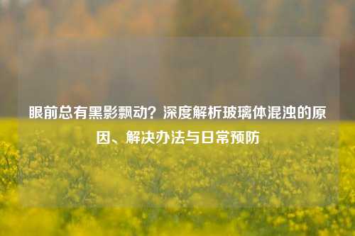 眼前总有黑影飘动?深度解析玻璃体混浊的原因、解决办法与日常预防