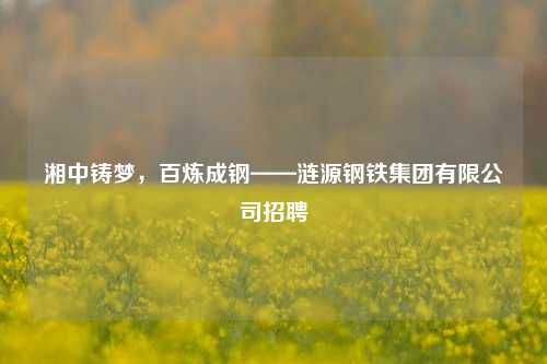 湘中铸梦,百炼成钢——涟源钢铁集团有限公司 ***