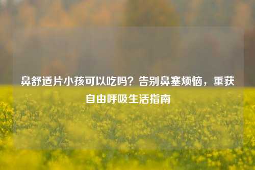 鼻舒适片小孩可以吃吗?告别鼻塞烦恼,重获自由呼吸生活指南