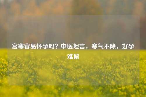 宫寒容易怀孕吗?中医坦言,寒气不除,好孕难留
