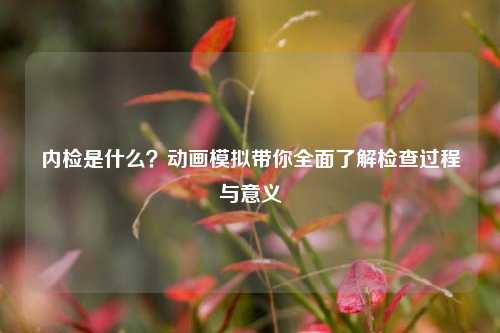内检是什么?动画模拟带你全面了解检查过程与意义