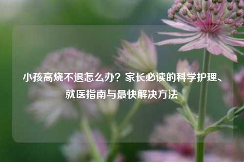 小孩高烧不退怎么办?家长必读的科学护理、就医指南与最快解决 ***