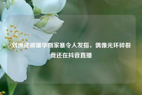 刘洲成被曝孕期家暴令人发指,偶像光环碎裂竟还在抖音直播