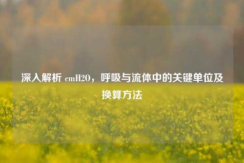 深入解析 cmH2O,呼吸与流体中的关键单位及换算 ***