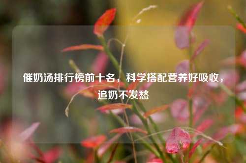 催奶汤排行榜前十名,科学搭配营养好吸收,追奶不发愁