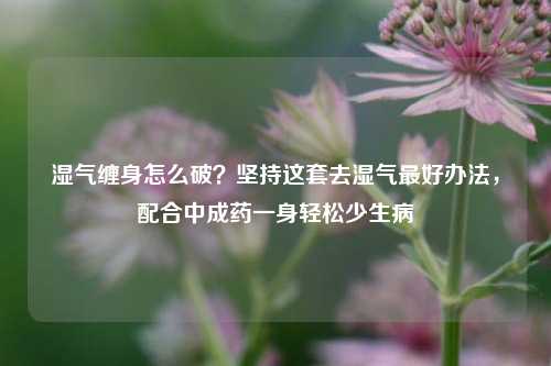 湿气缠身怎么破?坚持这套去湿气更好办法,配合中成药一身轻松少生病