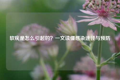 软疣是怎么引起的?一文读懂感染途径与预防