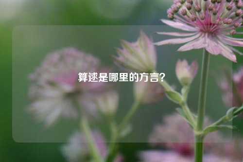算逑是哪里的方言?