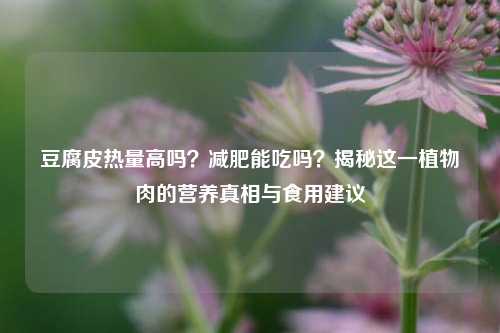 豆腐皮热量高吗?减肥能吃吗?揭秘这一植物肉的营养真相与食用建议
