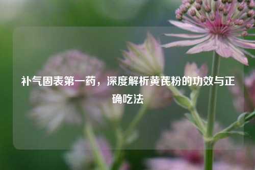 补气固表之一药,深度解析黄芪粉的功效与正确吃法