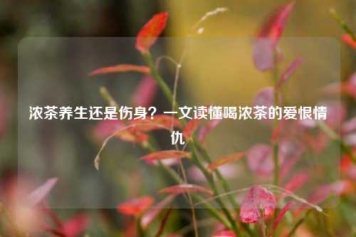浓茶养生还是伤身?一文读懂喝浓茶的爱恨情仇