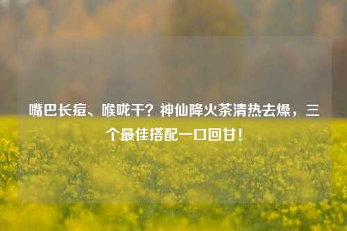 嘴巴长痘、喉咙干?神仙降火茶清热去燥,三个更佳搭配一口回甘!