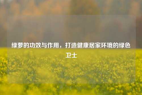 绿萝的功效与作用,打造健康居家环境的绿色卫士