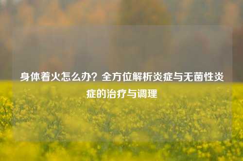 身体着火怎么办?全方位解析炎症与无菌性炎症的治疗与调理
