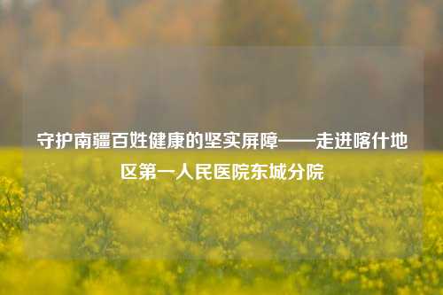 守护南疆百姓健康的坚实屏障——走进喀什地区之一人民医院东城分院
