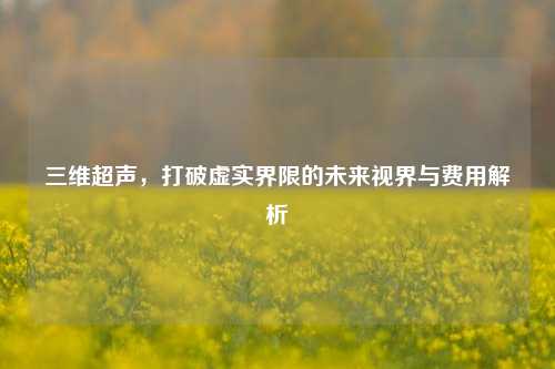 三维超声,打破虚实界限的未来视界与费用解析