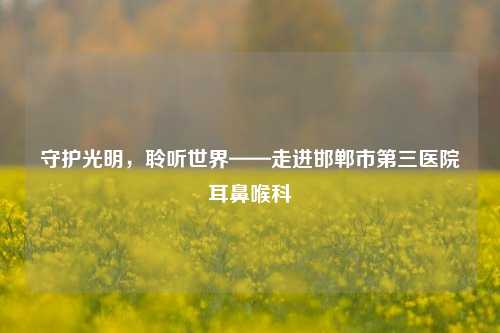 守护光明,聆听世界——走进邯郸市第三医院耳鼻喉科